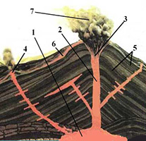 Схема строения действующего вулкана